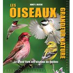 Les Oiseaux Grandeur Nature