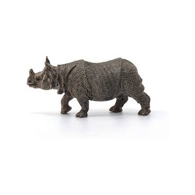 Indian Rhinoceros