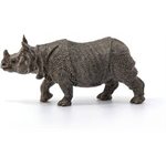 Indian Rhinoceros