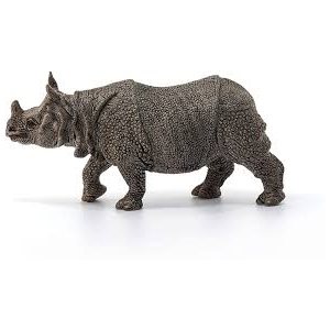 Indian Rhinoceros